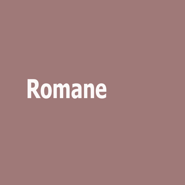 Link zum Onlineshop mit Empfehlungen zur Rubrik Romane
